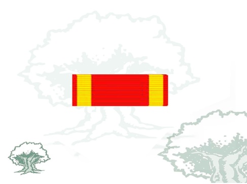 Pasador Cruz Laureada Rodmen escalable