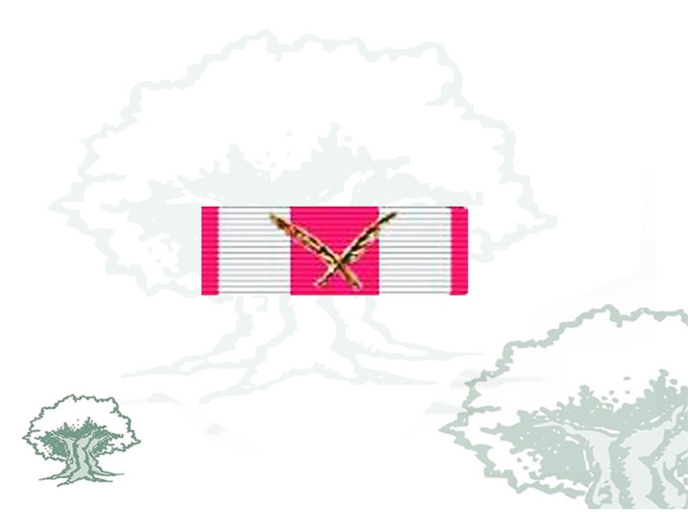 Pasador Encomienda Real y Militar Orden de San Hermenegildo Rodmen escalable