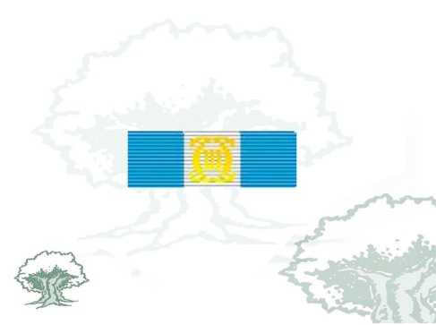 Pasador Encomienda Número Orden de Carlos III Rodmen escalable