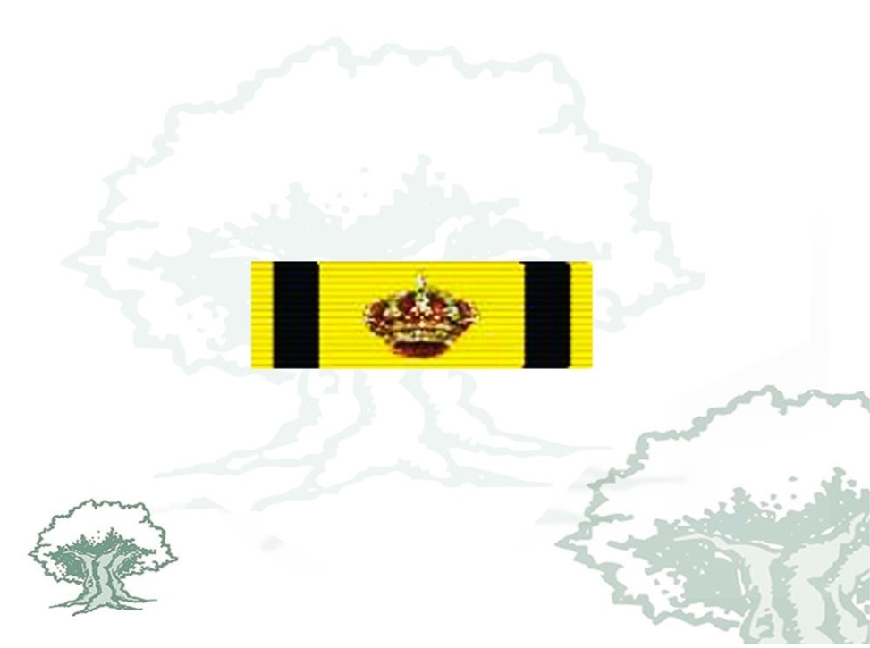 Pasador Gran Cruz Orden Civil de Sanidad Rodmen escalable