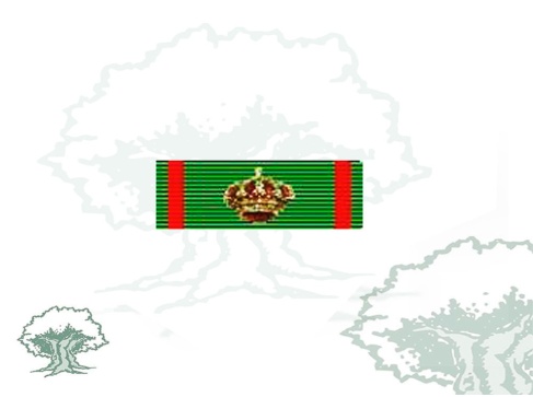 Pasador Gran Cruz de la Orden de Africa Rodmen escalable