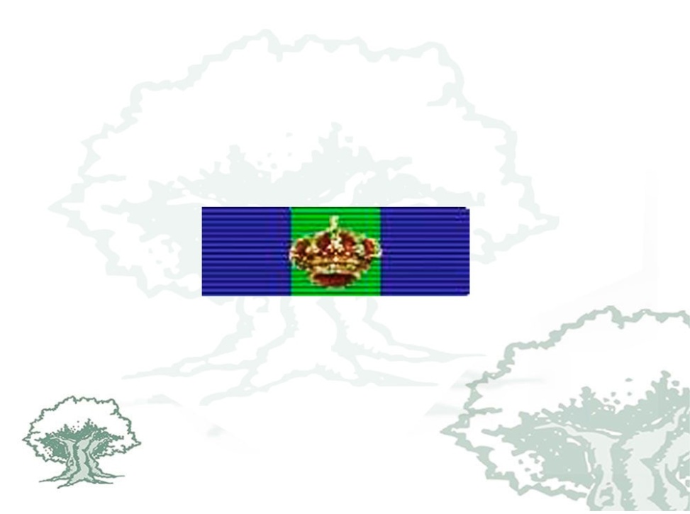 Pasador Gran Cruz Orden del Mérito Deportivo Rodmen escalable