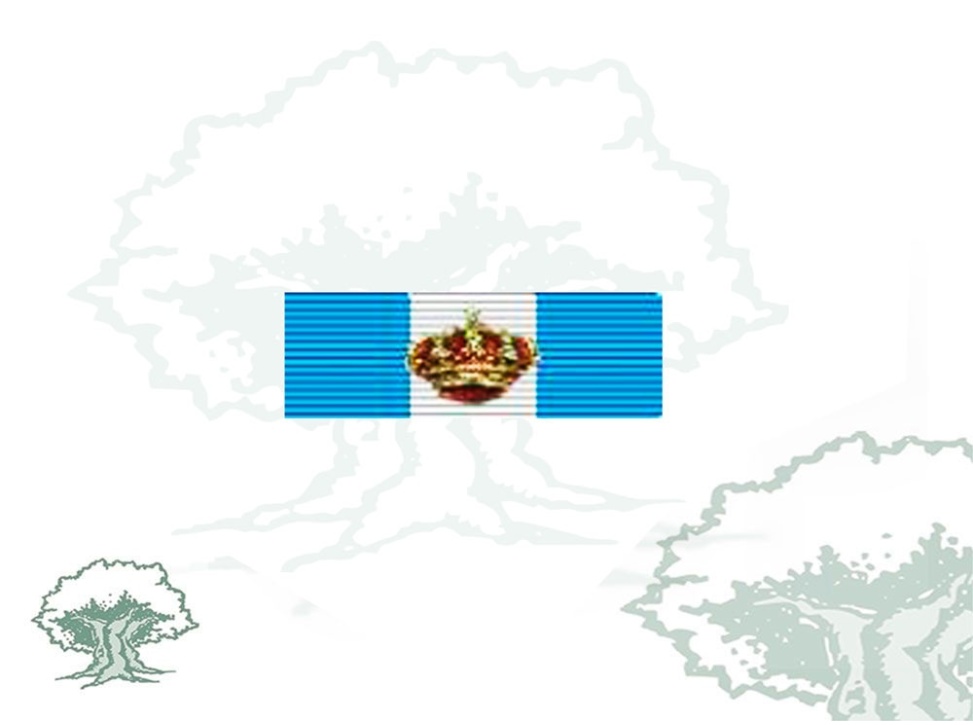 Pasador Gran Cruz Real y Distinguida Orden Española de Carlos III Rodmen escalable