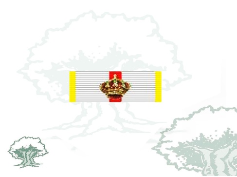 Pasador Gran Cruz Mérito Militar distintivo amarillo Rodmen escalable