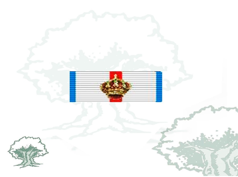 Pasador Gran Cruz Mérito Militar distintivo azul Rodmen escalable