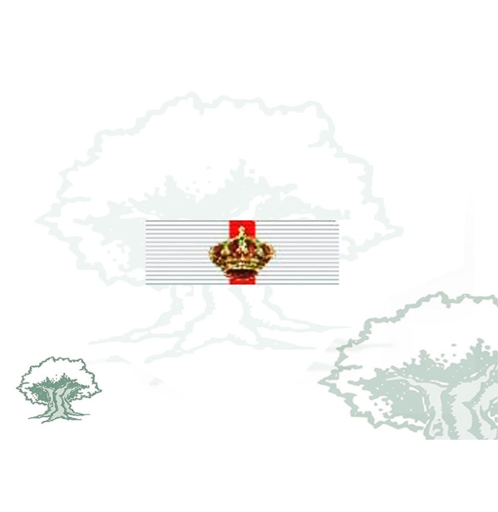 Pasador Gran Cruz del Mérito Militar distintivo blanco Rodmen escalable