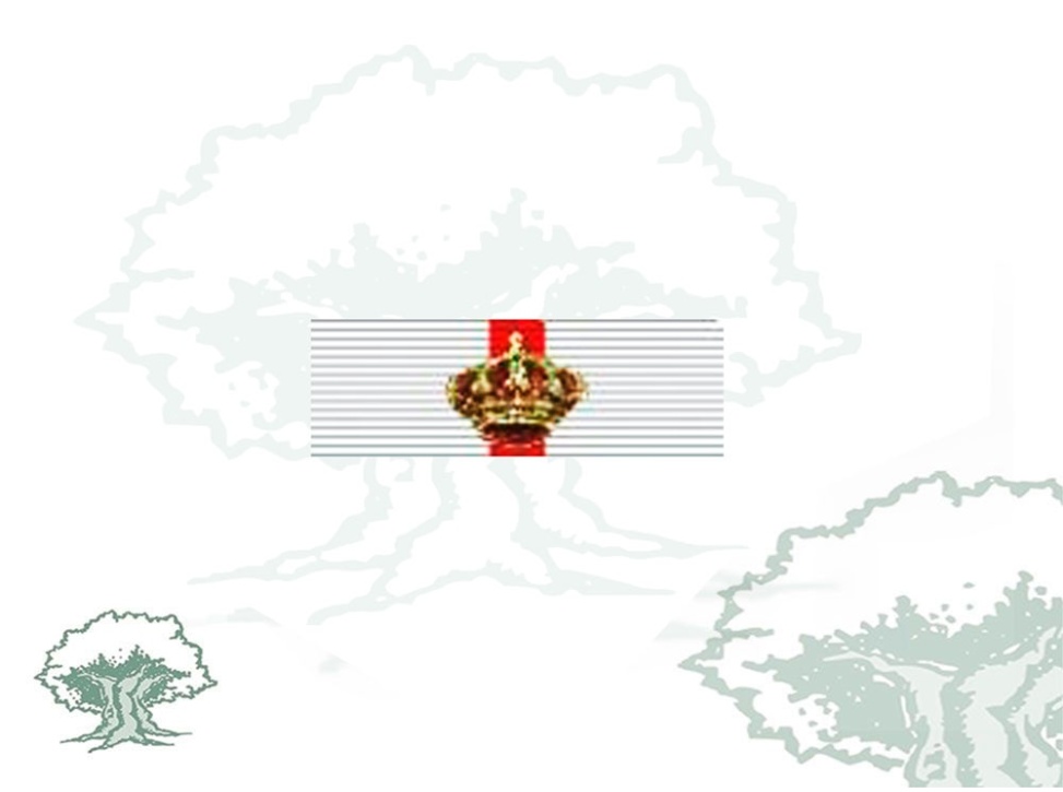 Pasador Gran Cruz Mérito Militar distintivo blanco Rodmen escalable