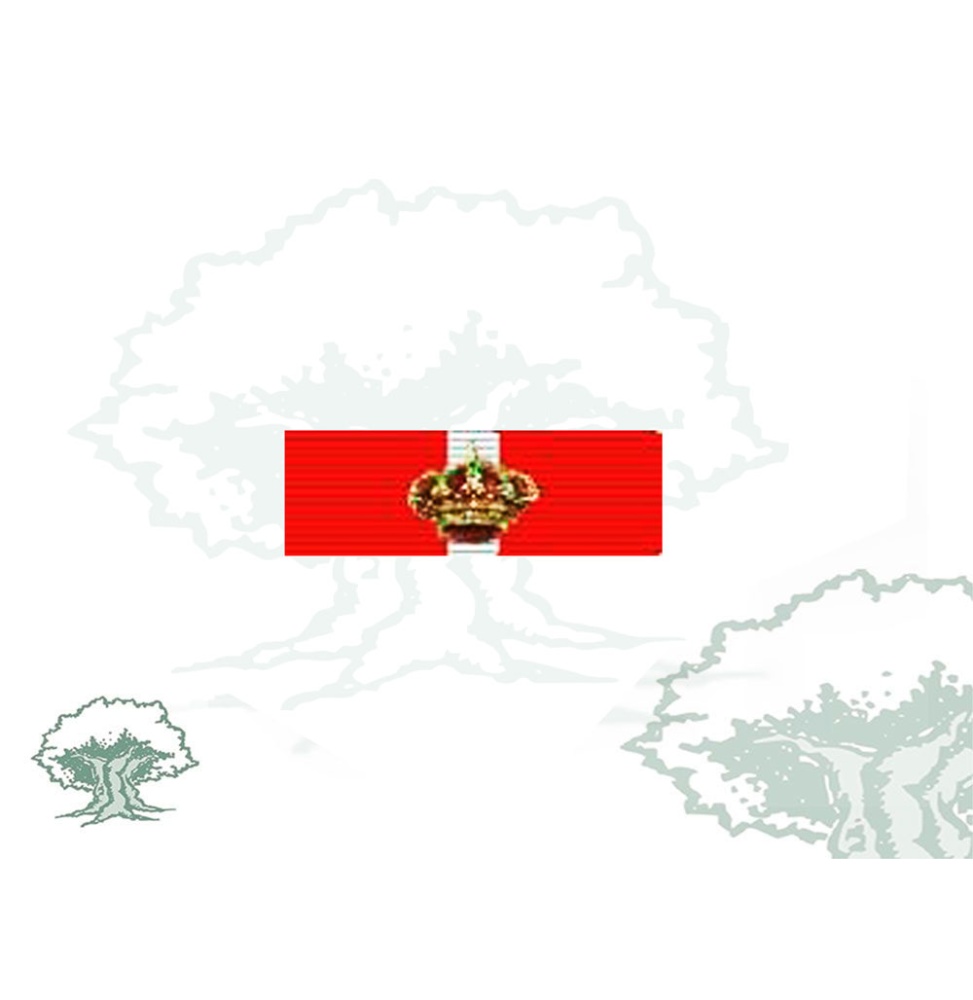 Pasador Gran Cruz del Mérito Militar distintivo rojo Rodmen escalable