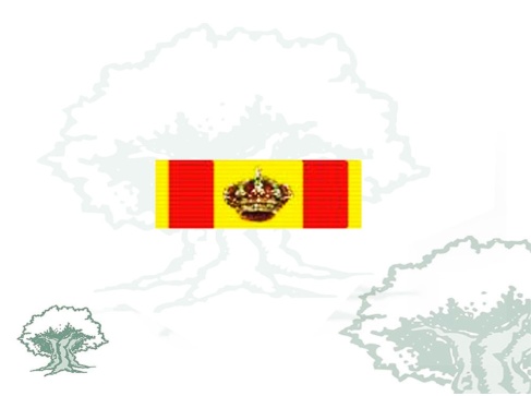 Pasador Gran Cruz Mérito Naval distintivo amarillo Rodmen escalable