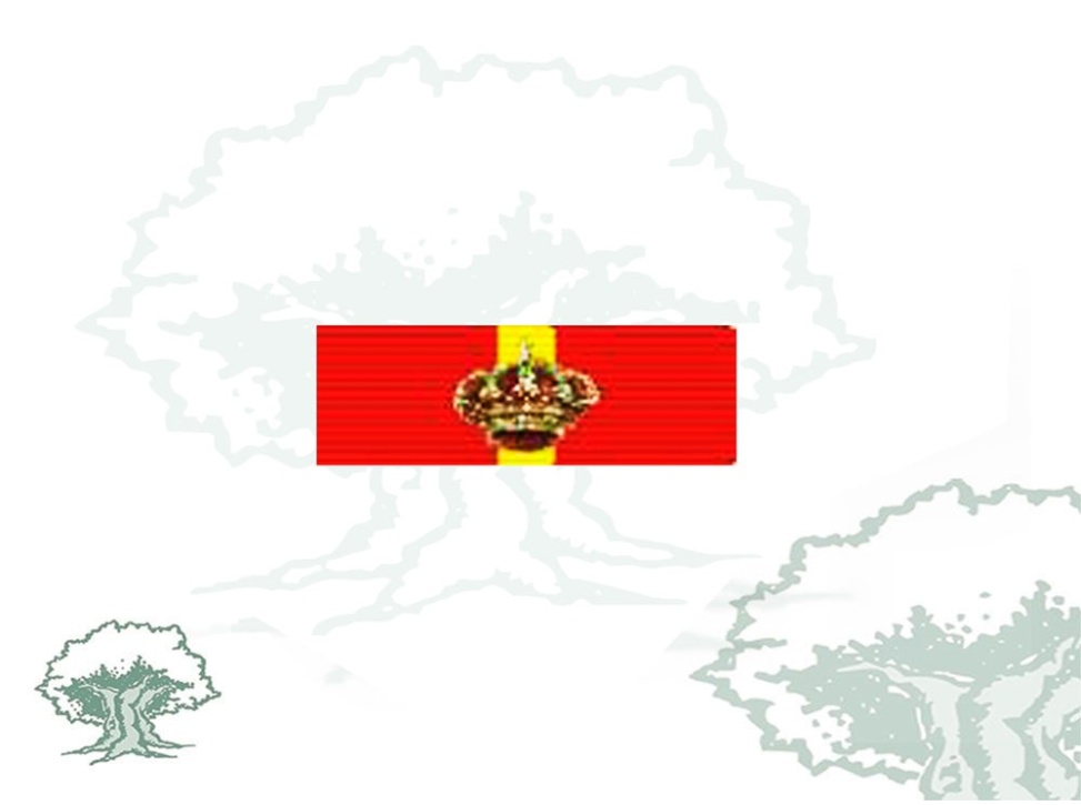 Pasador Gran Cruz Mérito Naval distintivo rojo Rodmen escalable