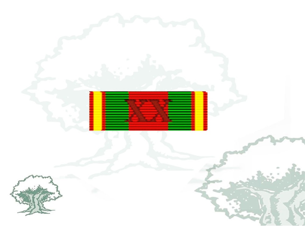 Pasador Medalla Dedicación Policial Rodmen escalable