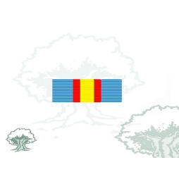 Pasador Medalla Aérea individual Rodmen escalable