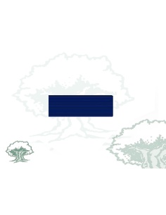 Pasador Medalla Mérito Protección Civil distintivo azul Rodmen escalable