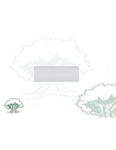 Pasador Medalla Mérito Protección Civil distintivo blanco Rodmen escalable