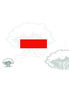 Pasador Medalla Mérito Protección Civil distintivo rojo Rodmen escalable