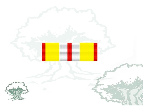 Pasador Medalla al Mérito Turístico Rodmen escalable