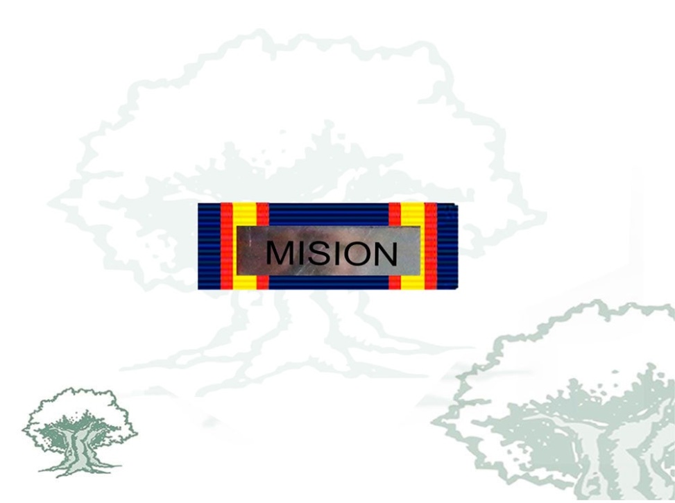 Pasador Medalla Campaña Rodmen escalable