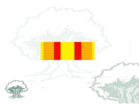 Pasador Medalla de Ifni-Sahara Rodmen escalable