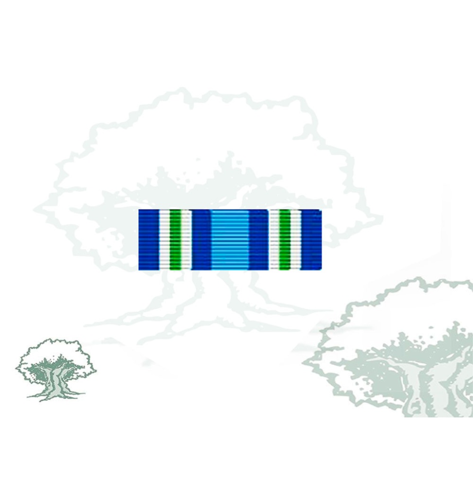 Pasador Medalla de la ONU (MINUGUA) Rodmen escalable