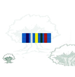 Pasador Medalla de la ONU (MINURCAT) Rodmen escalable