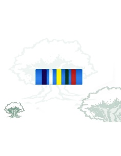 Pasador Medalla ONU (MINURCAT) Rodmen escalable