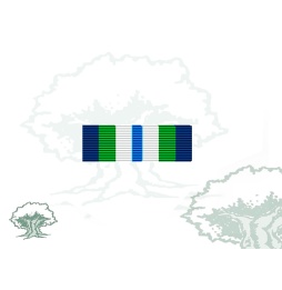 Pasador Medalla de la ONU (MINUSTAH) Rodmen escalable