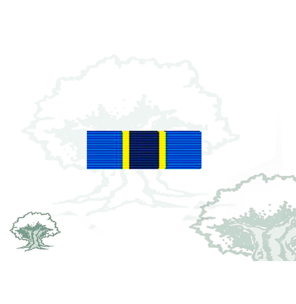 Pasador Medalla de la ONU (MONUC) Rodmen escalable