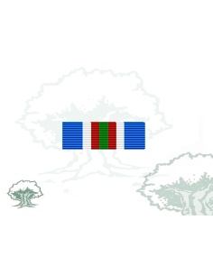 Pasador Medalla ONU (ONUB) Rodmen escalable