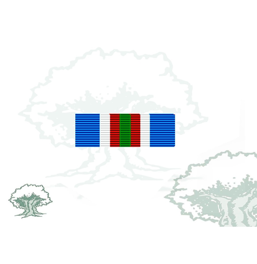 Pasador Medalla de la ONU (ONUB) Rodmen escalable