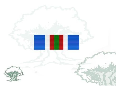 Pasador Medalla ONU (ONUB) Rodmen escalable