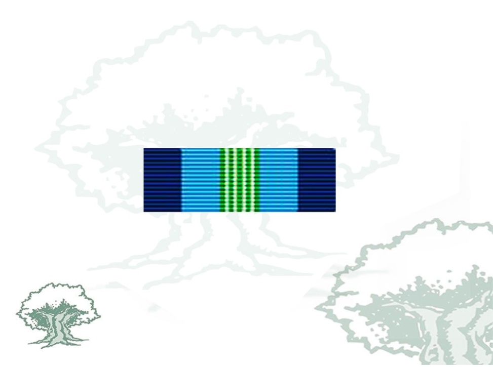 Pasador Medalla ONU (ONUCA) Rodmen escalable