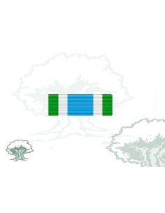 Pasador Medalla ONU (ONUMOZ) Rodmen escalable