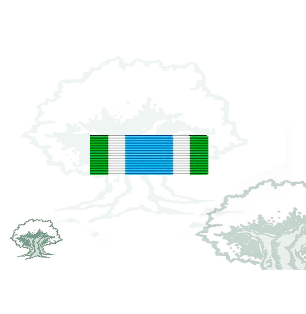 Pasador Medalla de la ONU (ONUMOZ) Rodmen escalable