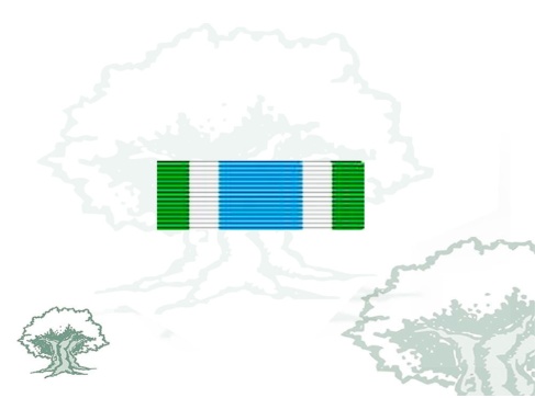 Pasador Medalla ONU (ONUMOZ) Rodmen escalable