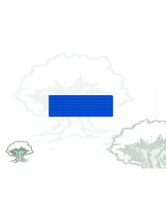 Pasador Medalla ONU (Servicios Generales) Rodmen escalable