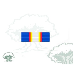 Pasador Medalla de la ONU (UNAMET) Rodmen escalable
