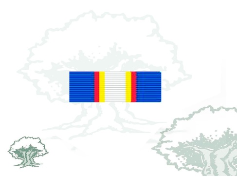 Pasador Medalla de la ONU (UNAMET) Rodmen escalable