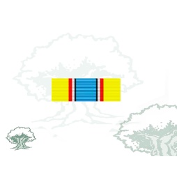 Pasador Medalla de la ONU (UNAVEM) Rodmen escalable