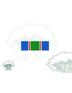 Pasador Medalla ONU (UNIFIL) Rodmen escalable