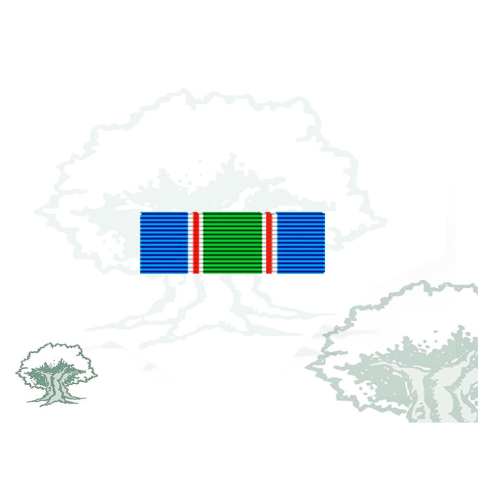 Pasador Medalla de la ONU (UNIFIL) Rodmen escalable
