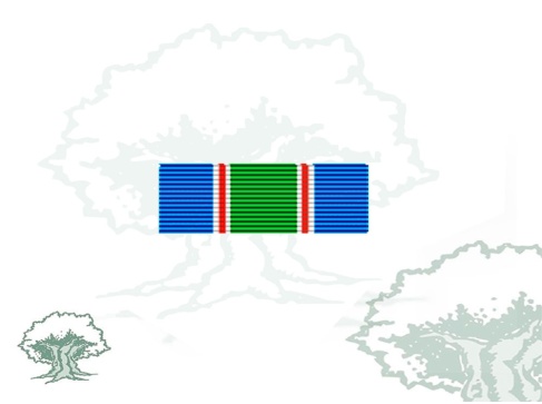 Pasador Medalla de la ONU (UNIFIL) Rodmen escalable