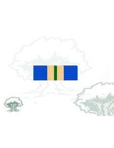 Pasador Medalla ONU (UNMEE) Rodmen escalable