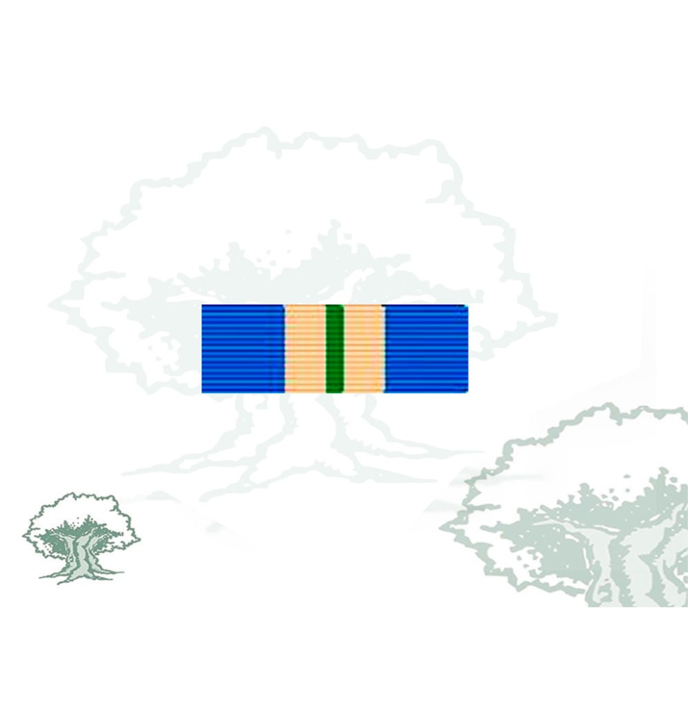 Pasador Medalla de la ONU (UNMEE) Rodmen escalable