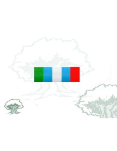 Pasador Medalla ONU (UNMIBH) Rodmen escalable