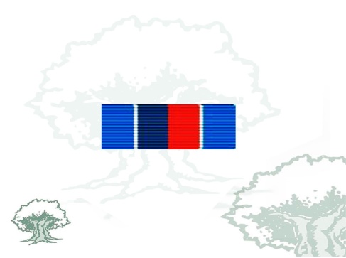 Pasador Medalla de la ONU (UNMIH)