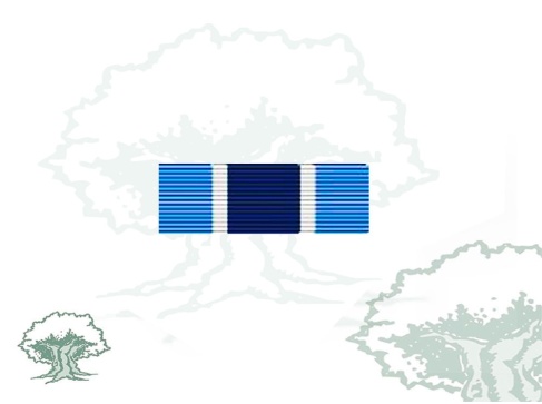 Pasador Medalla de la ONU (UNMIK) Rodmen escalable