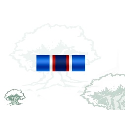 Pasador Medalla de la ONU (UNMIL) Rodmen escalable