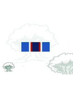Pasador Medalla ONU (UNMIL) Rodmen escalable
