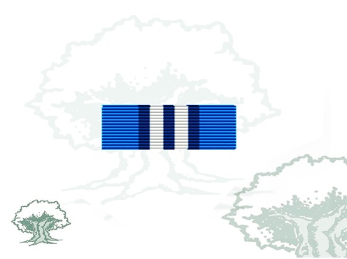 Pasador Medalla de la ONU (UNMIS) Rodmen escalable