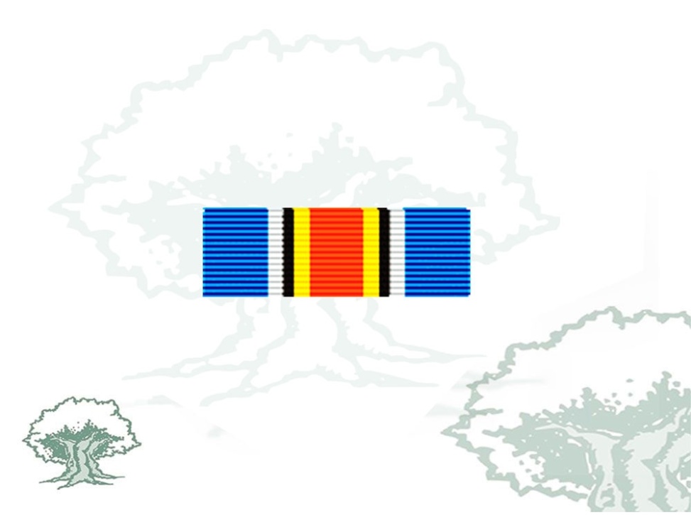 Pasador Medalla ONU (UNMIT) Rodmen escalable